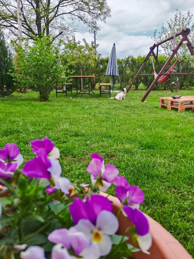 Gacka-Beautiful Place In Nature Otočac Exteriör bild