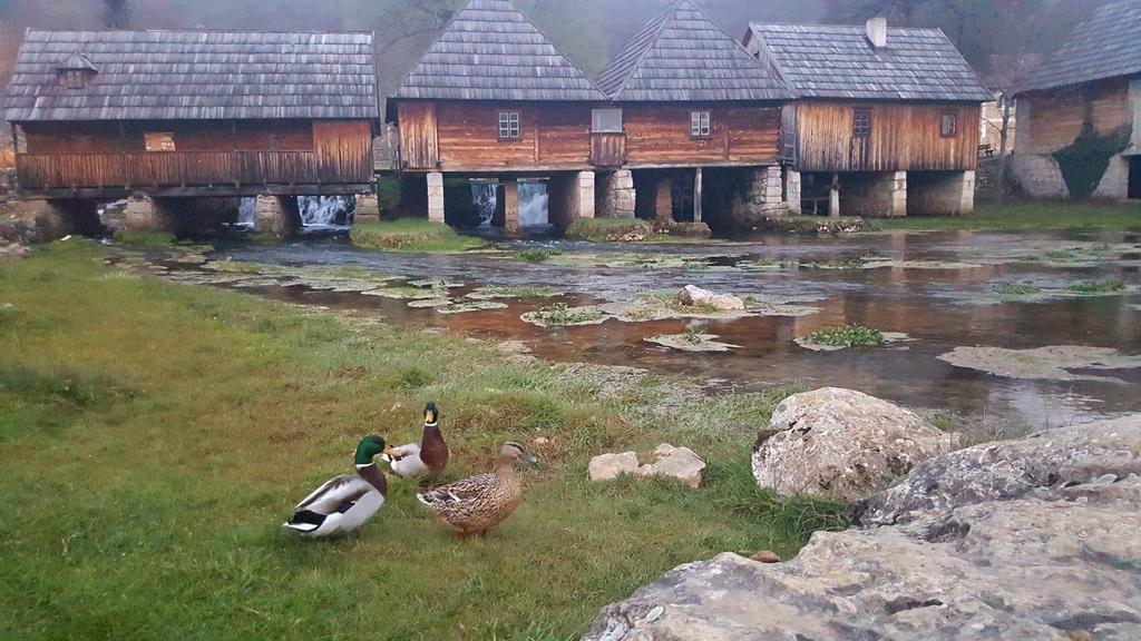 Gacka-Beautiful Place In Nature Otočac Exteriör bild